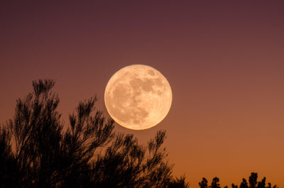 Full Moon in Scorpio April 2021: Prepare for a bumpy ride